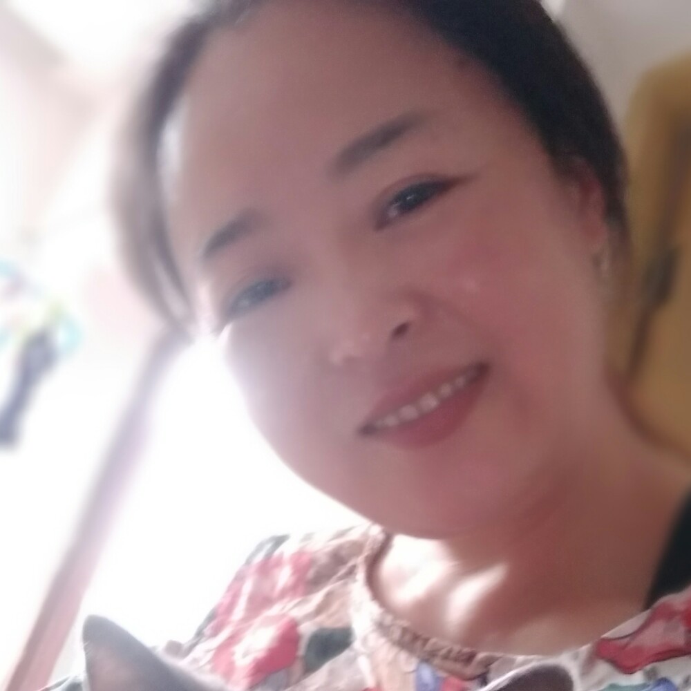 快乐請长颈鹿的照片