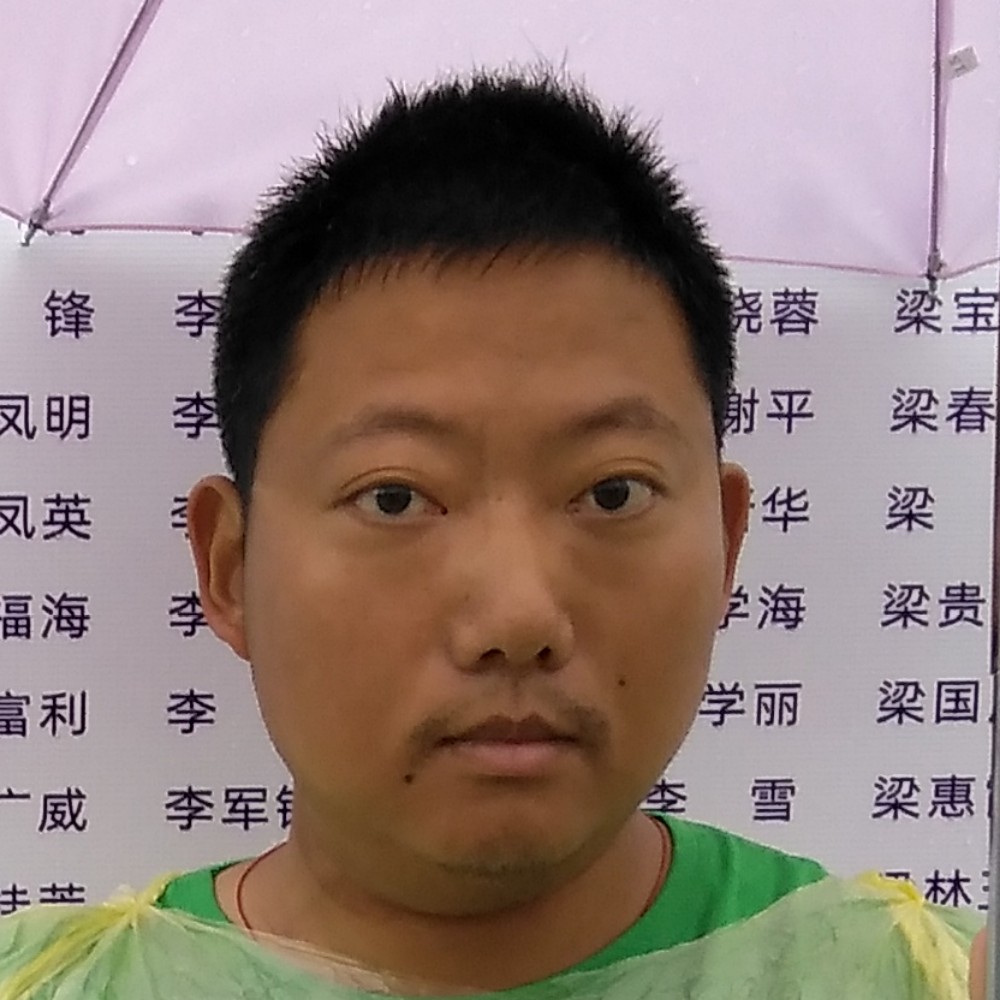 蜜蜂甜蜜13的照片