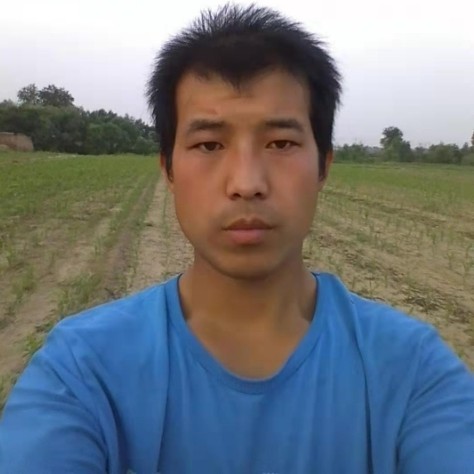 秀丽拾忆蜗牛的照片