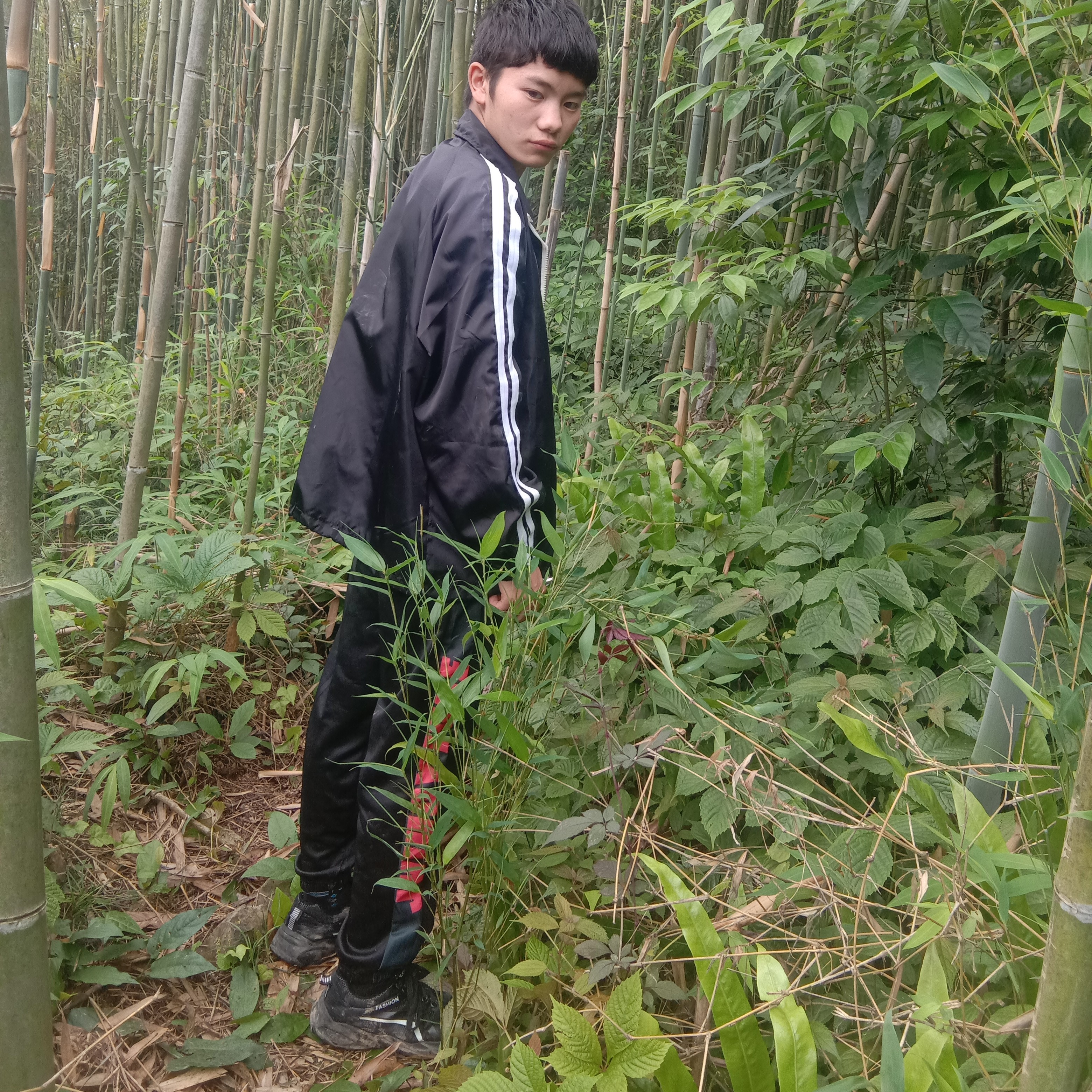粗犷迎余音的照片