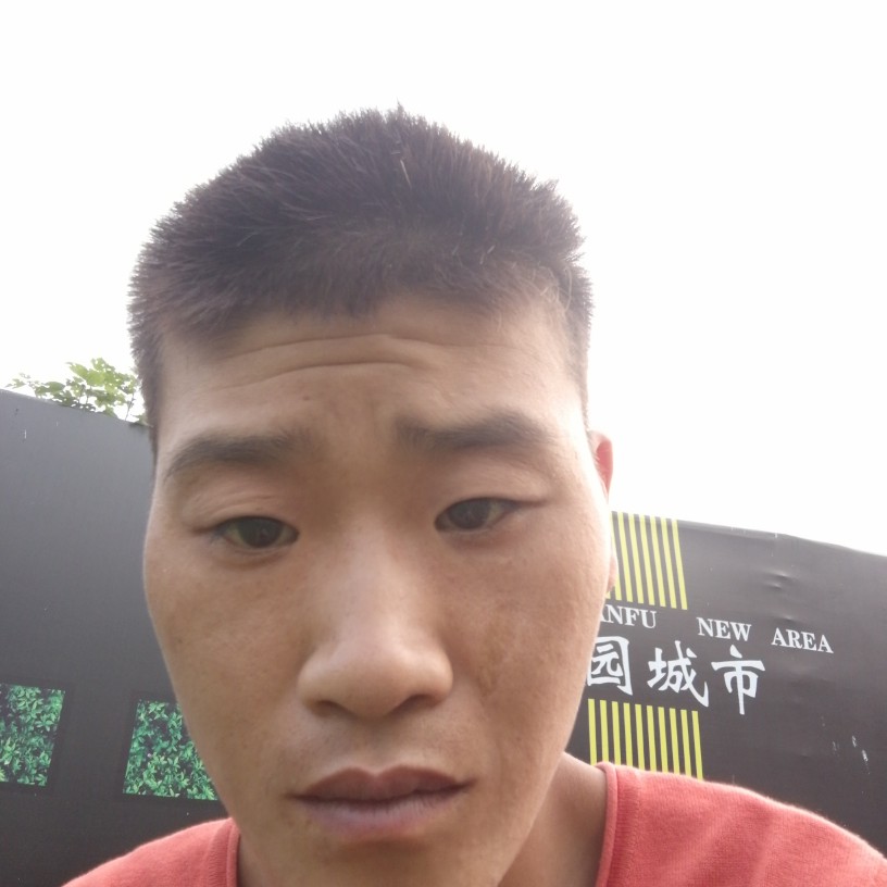 剪影超级的照片