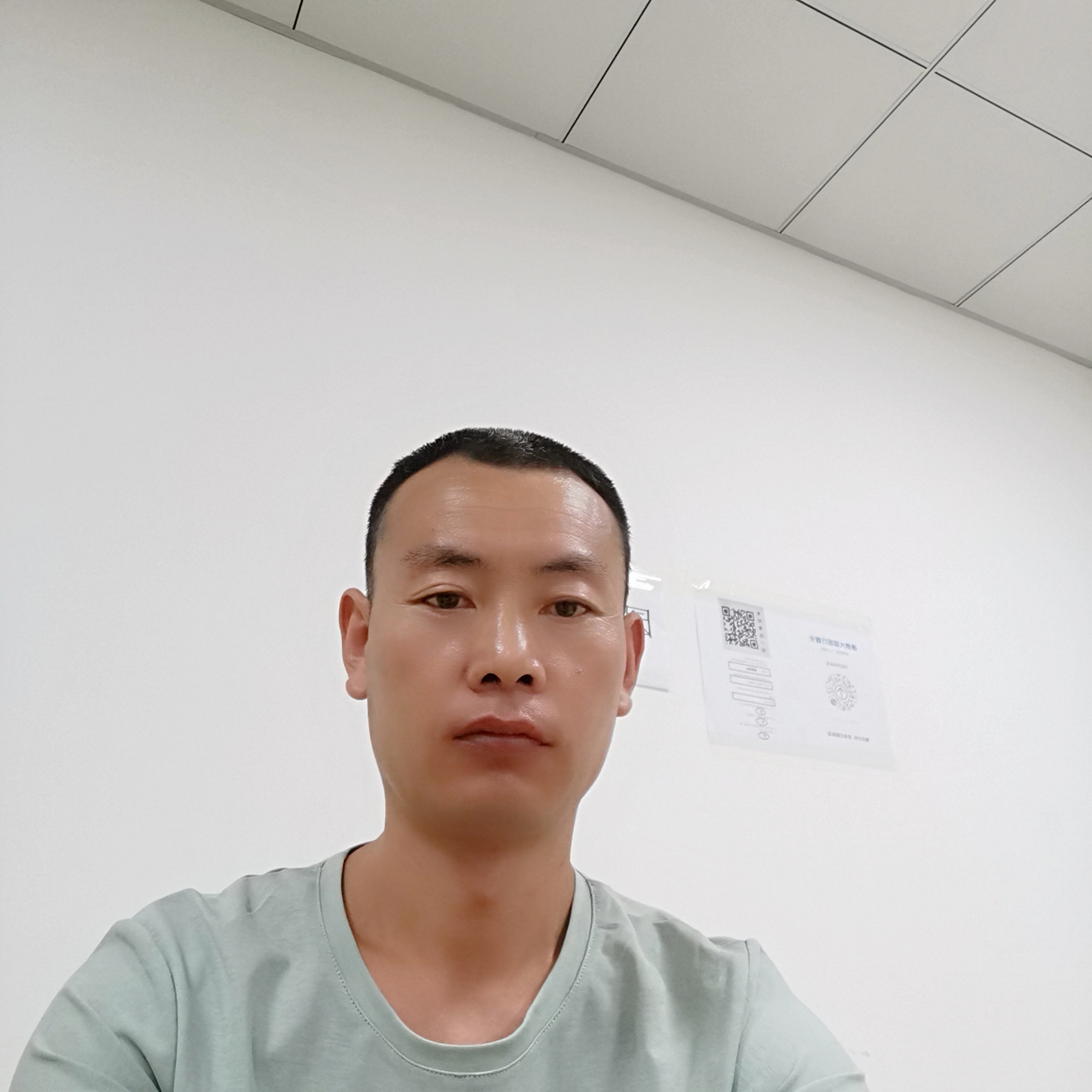 河马高高的照片
