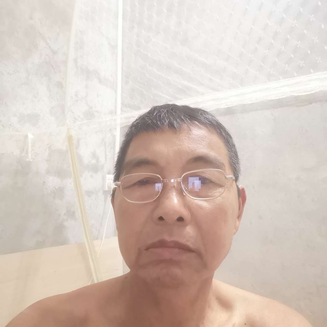 红玫瑰舒适的照片