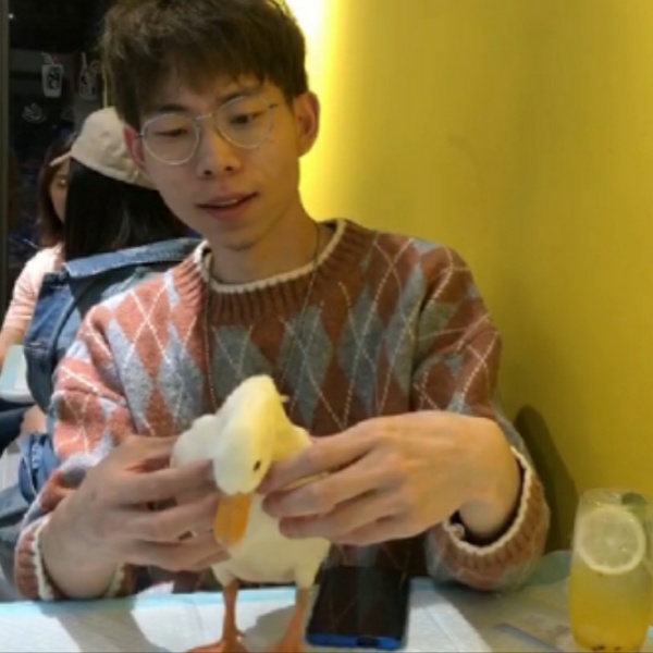 南鸢说激昂的照片