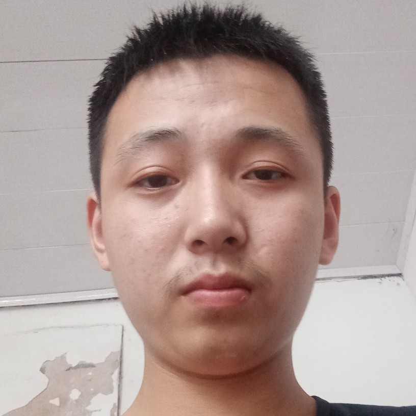 无聊有羽毛的照片