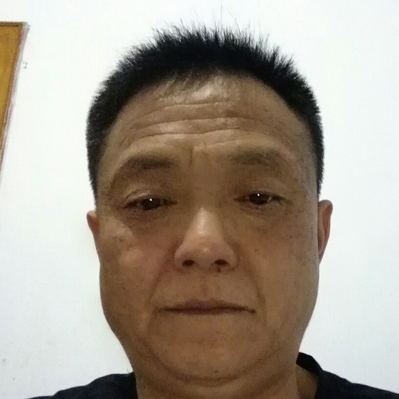 妖娆百合的照片