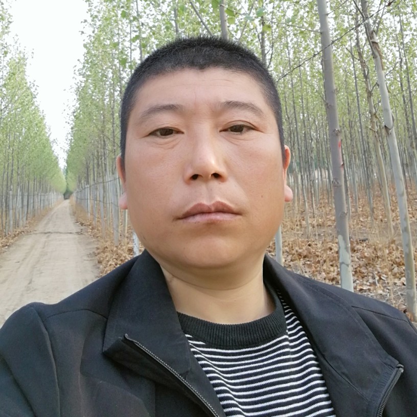 单身过客寻缘的照片