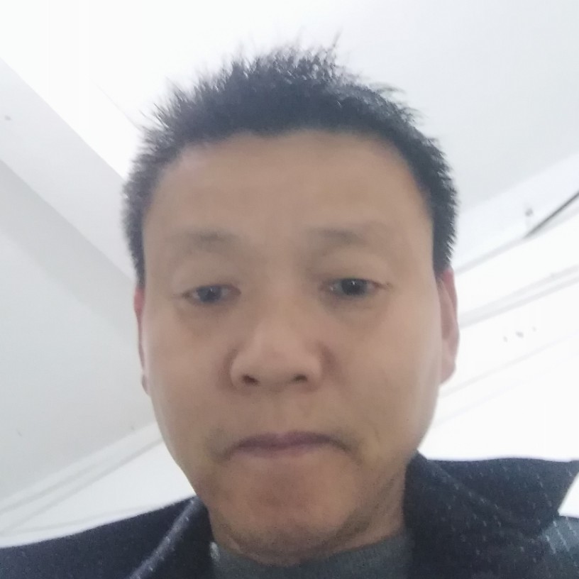 坦率泥猴桃猪猪的照片