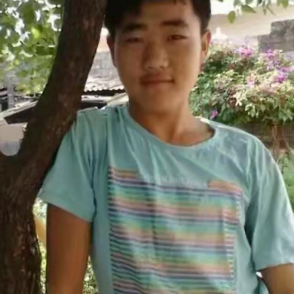 优雅的黄蜂的照片