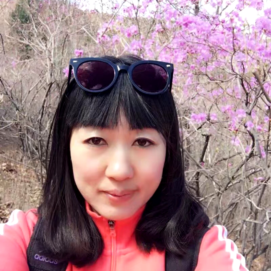 云朵回首沉静的照片