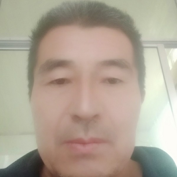 兴奋爱恋橘子的照片