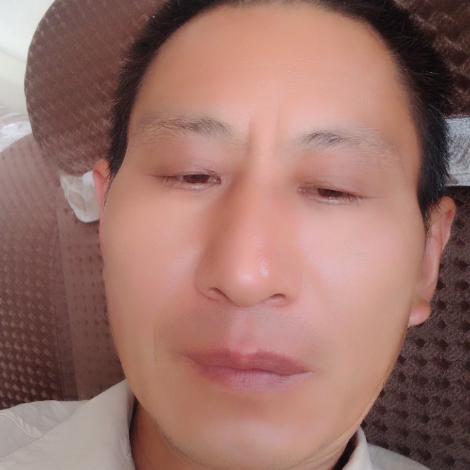 正直演变向日葵的照片