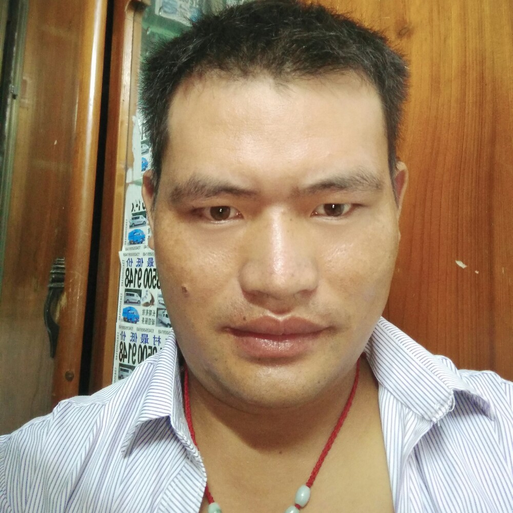 清爽舒荷的照片