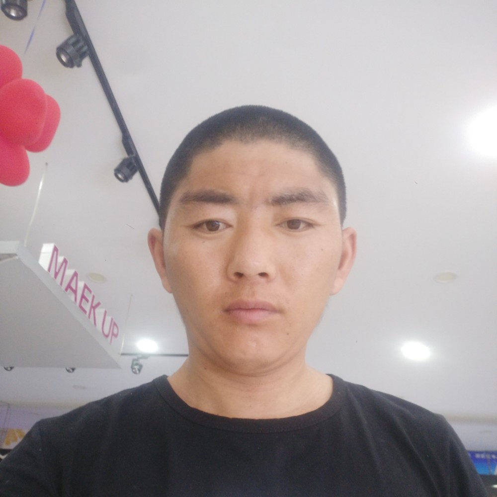 无情早晨的照片