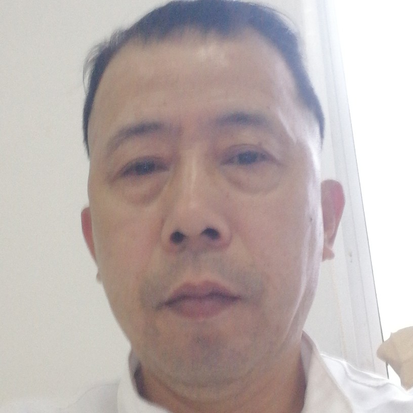 慈祥回眸斑马的照片