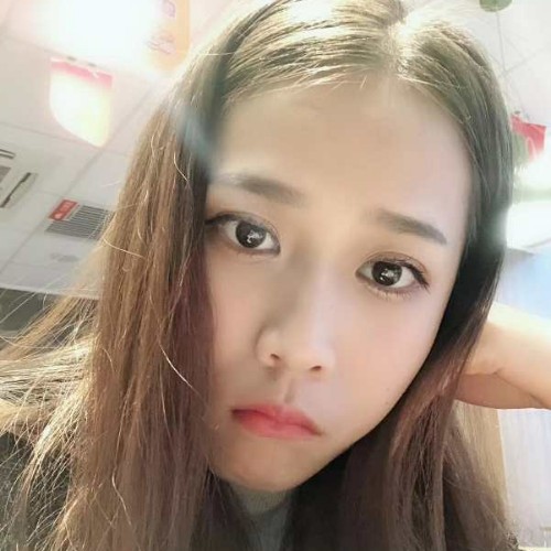 小太阳。的照片