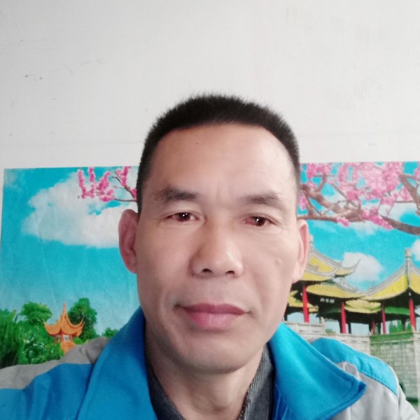 绿叶漫天飞的照片