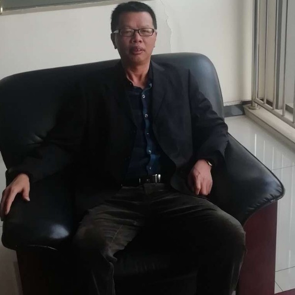 鱼停止阳光的照片