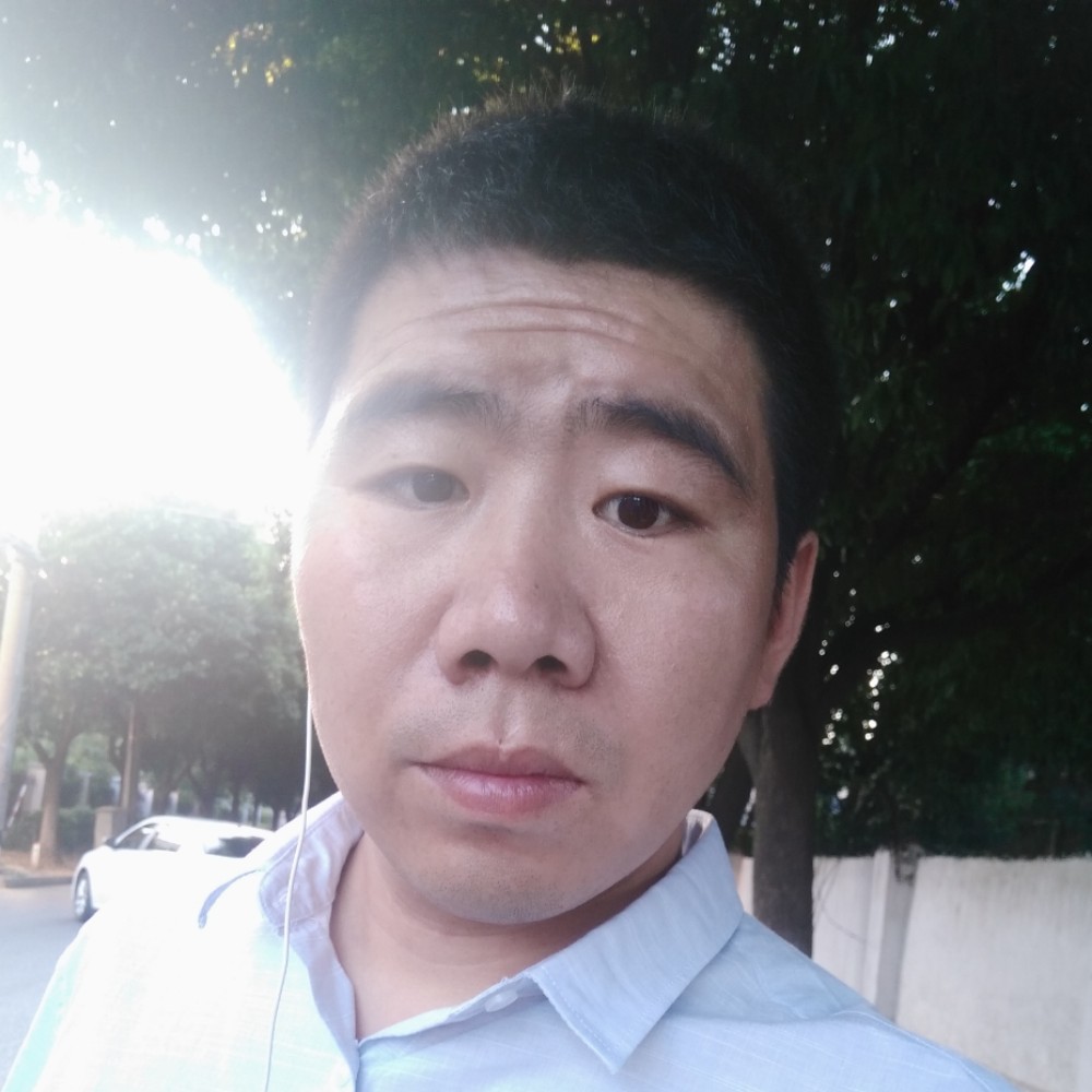 青。竹的照片