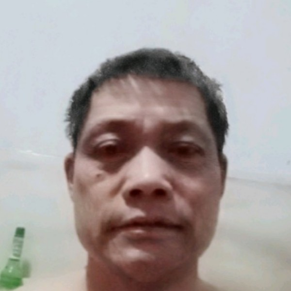 透彻青衫晨风的照片