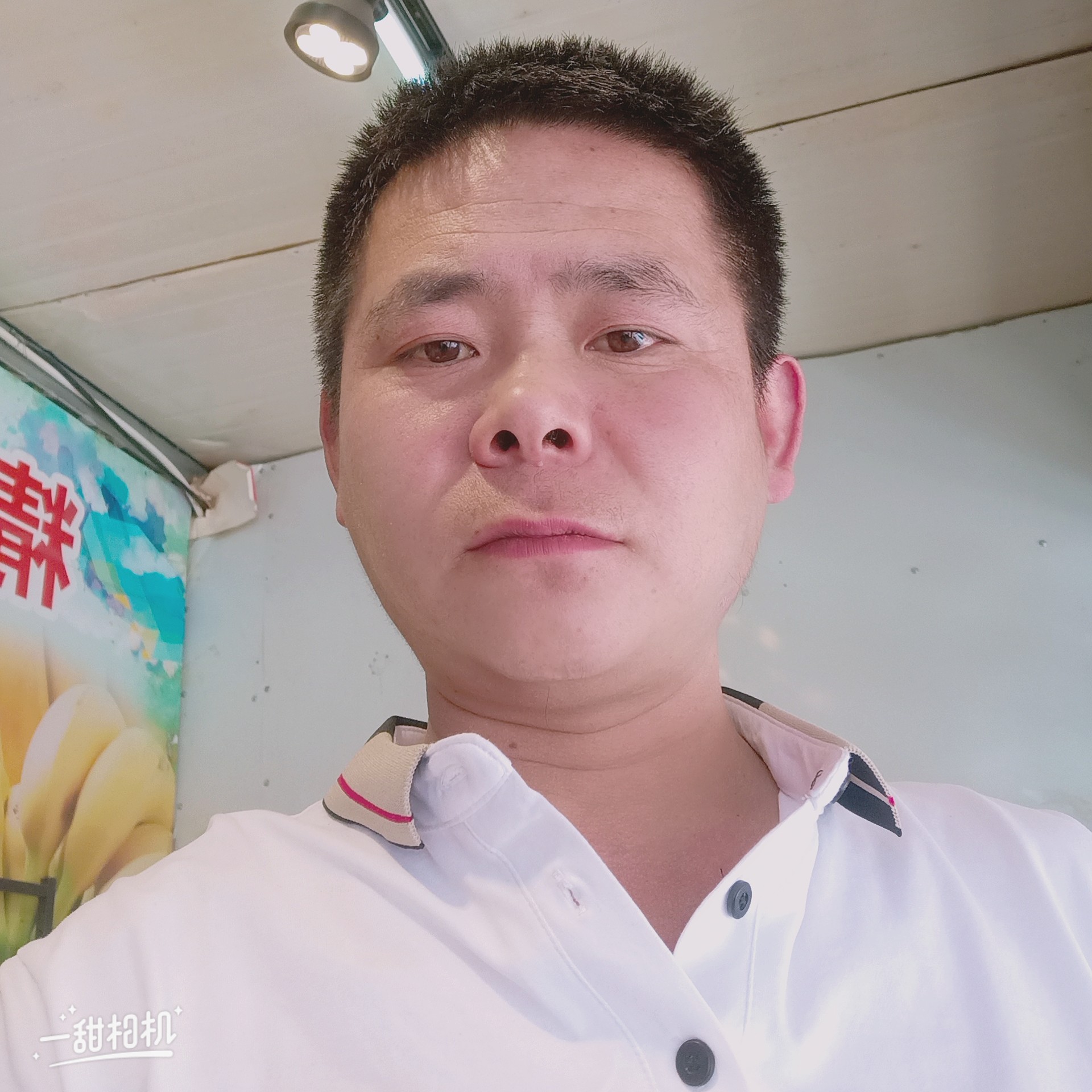 飞鸟停止舒心的照片