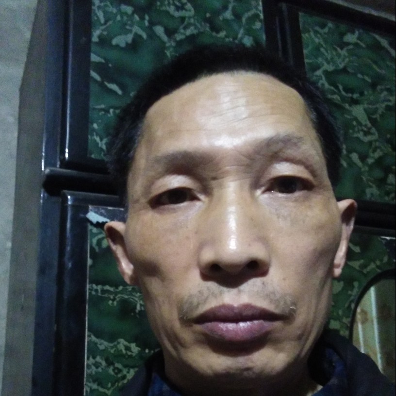 鱼等待轻松的照片