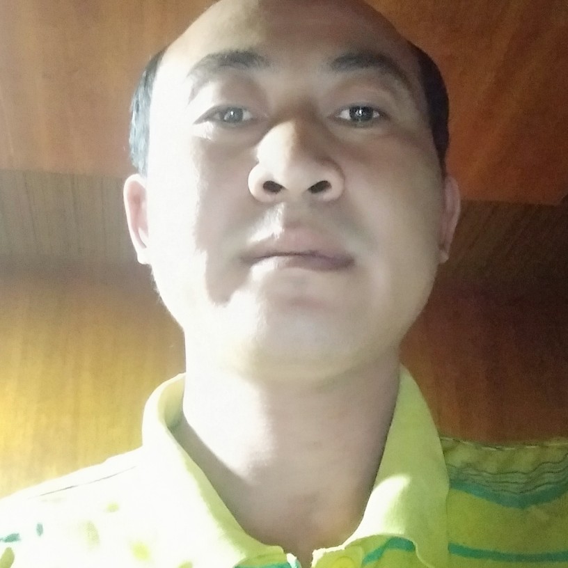 企鹅，的照片