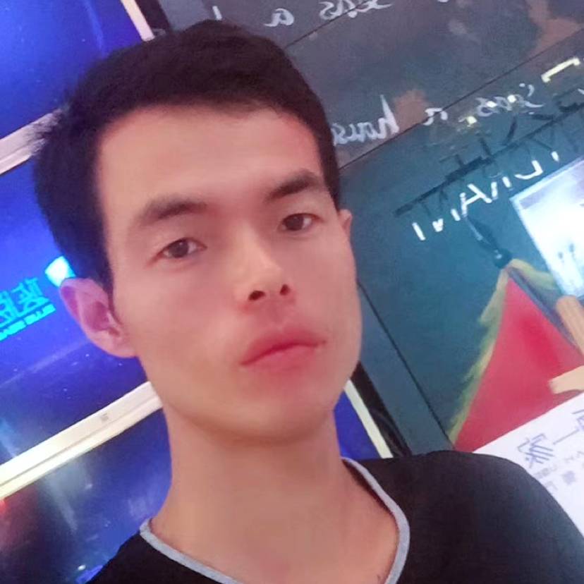 冷艳回眸小海豚的照片
