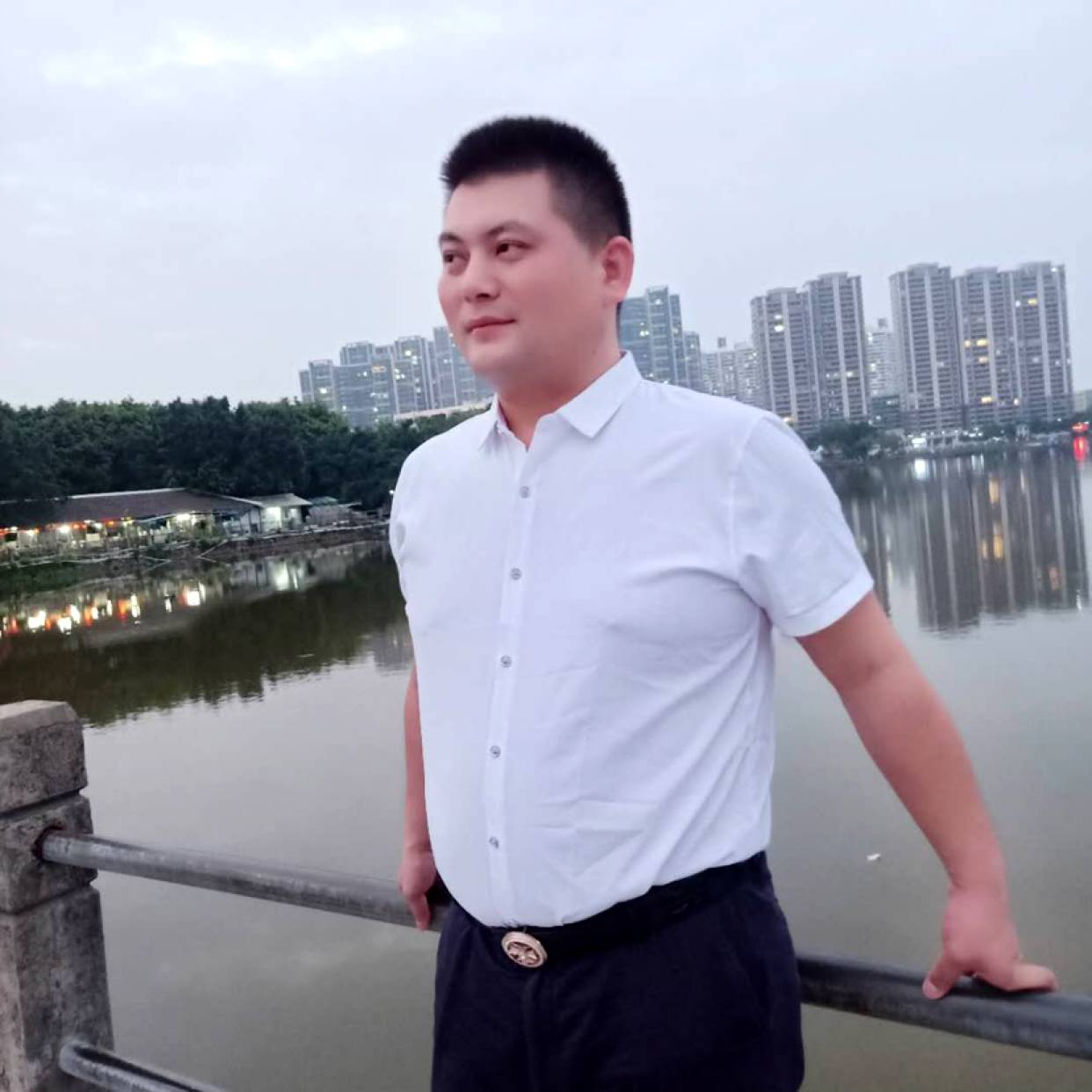 小蚂蚁的照片