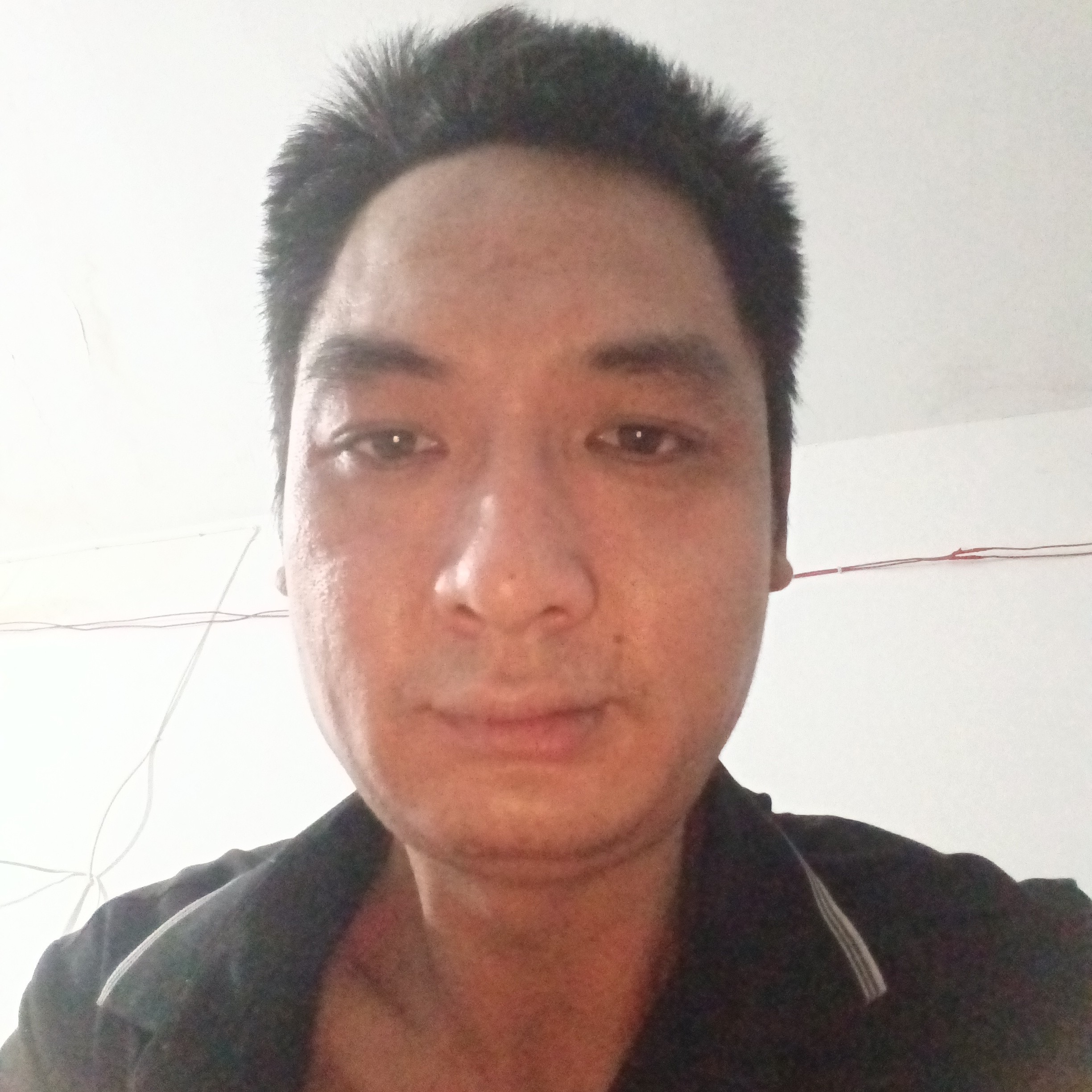玉米保卫个性的照片