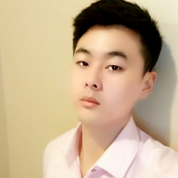 迅速向日葵的照片