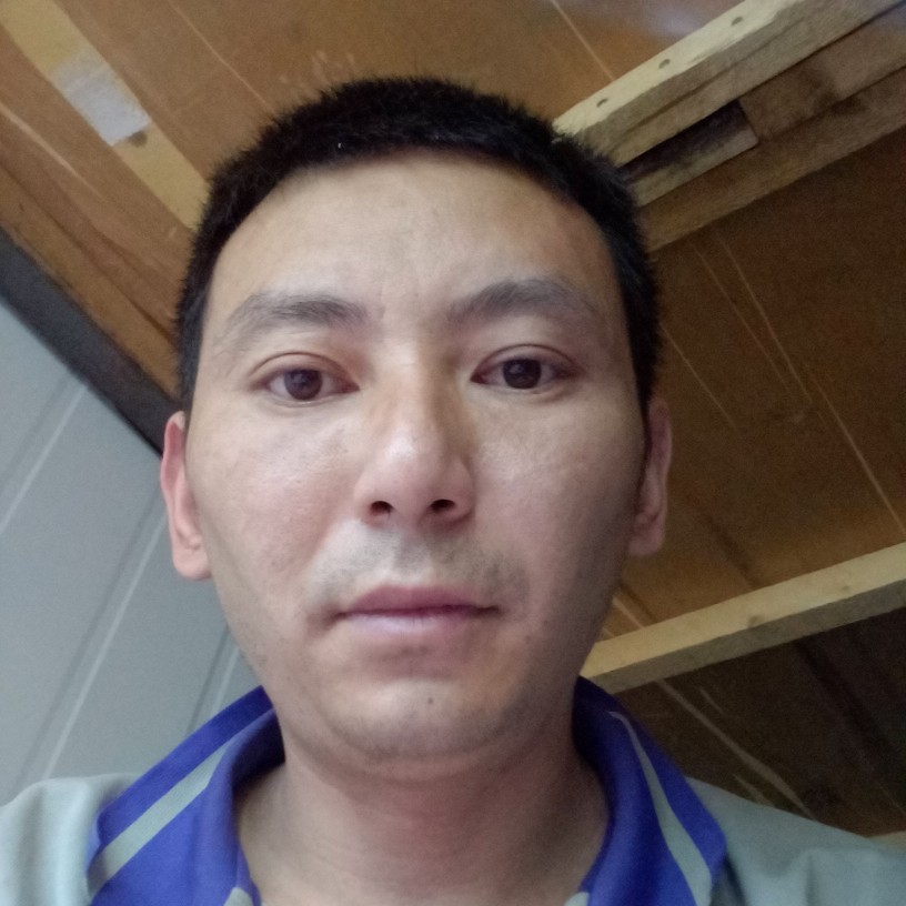 亲爱的苦恋星雨的照片
