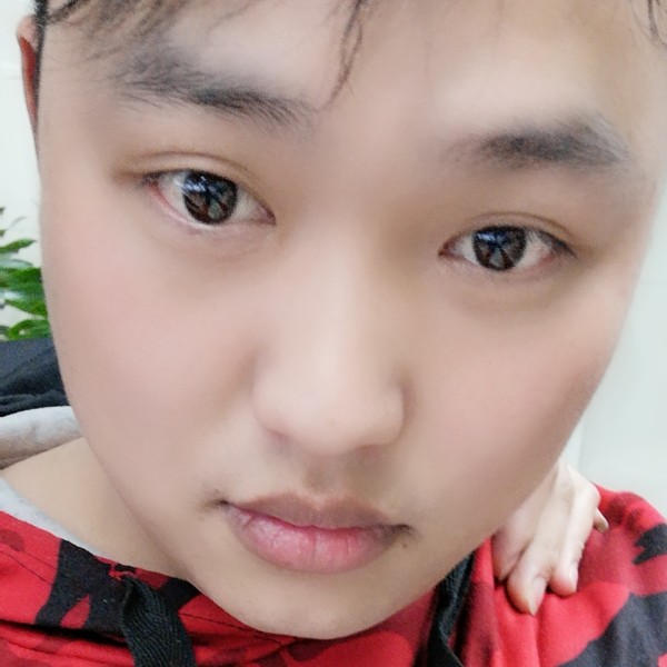 老实漫步小鸭子的照片