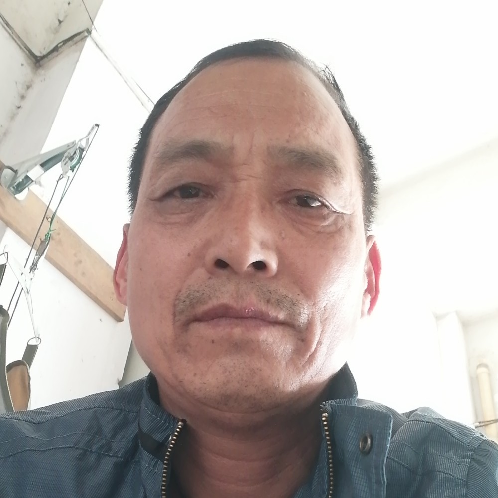 豌豆漫步内向的照片