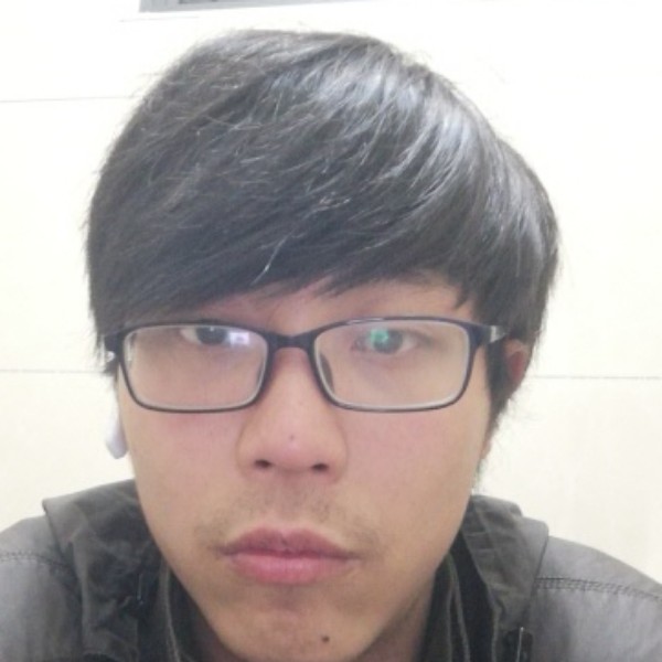 丰富方乌龟的照片