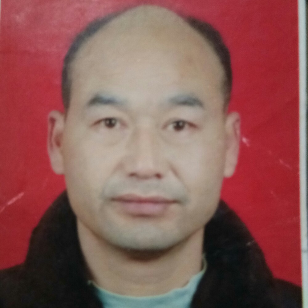 小海豚旧时光的照片