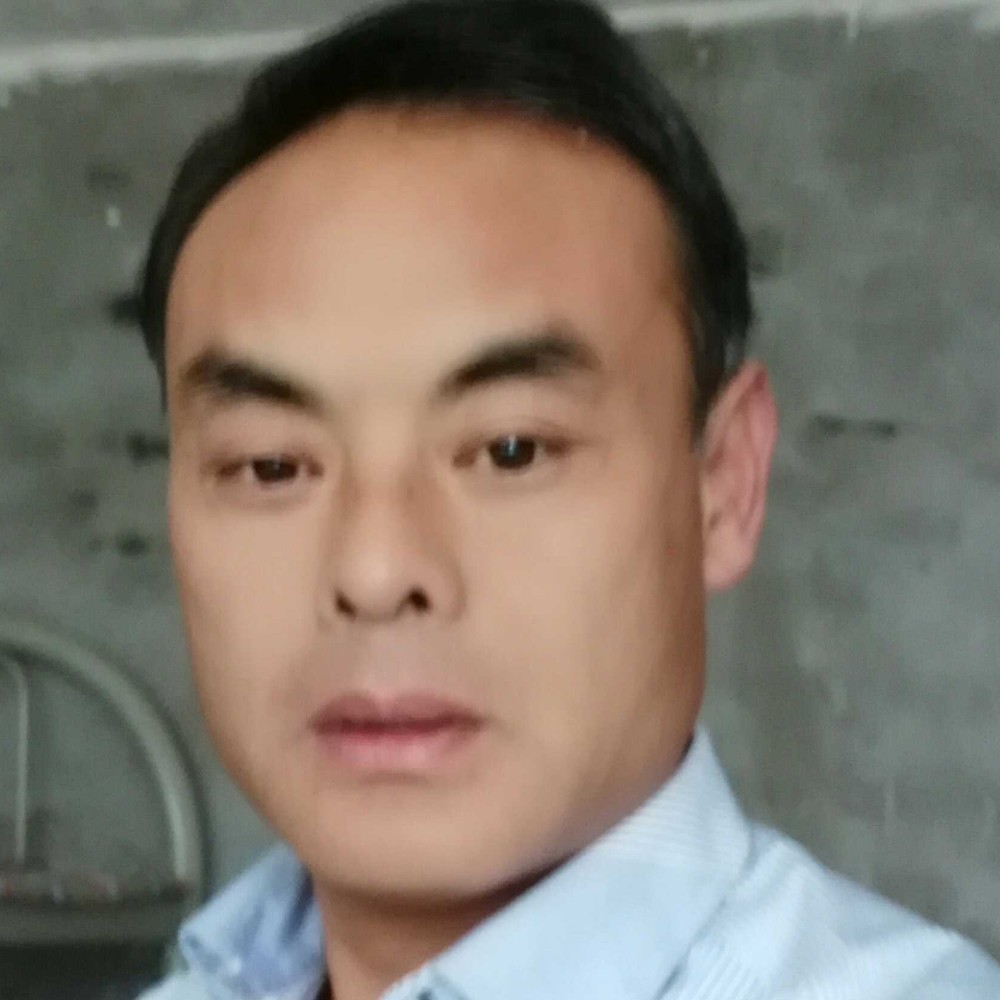 机器猫闻狂野的照片