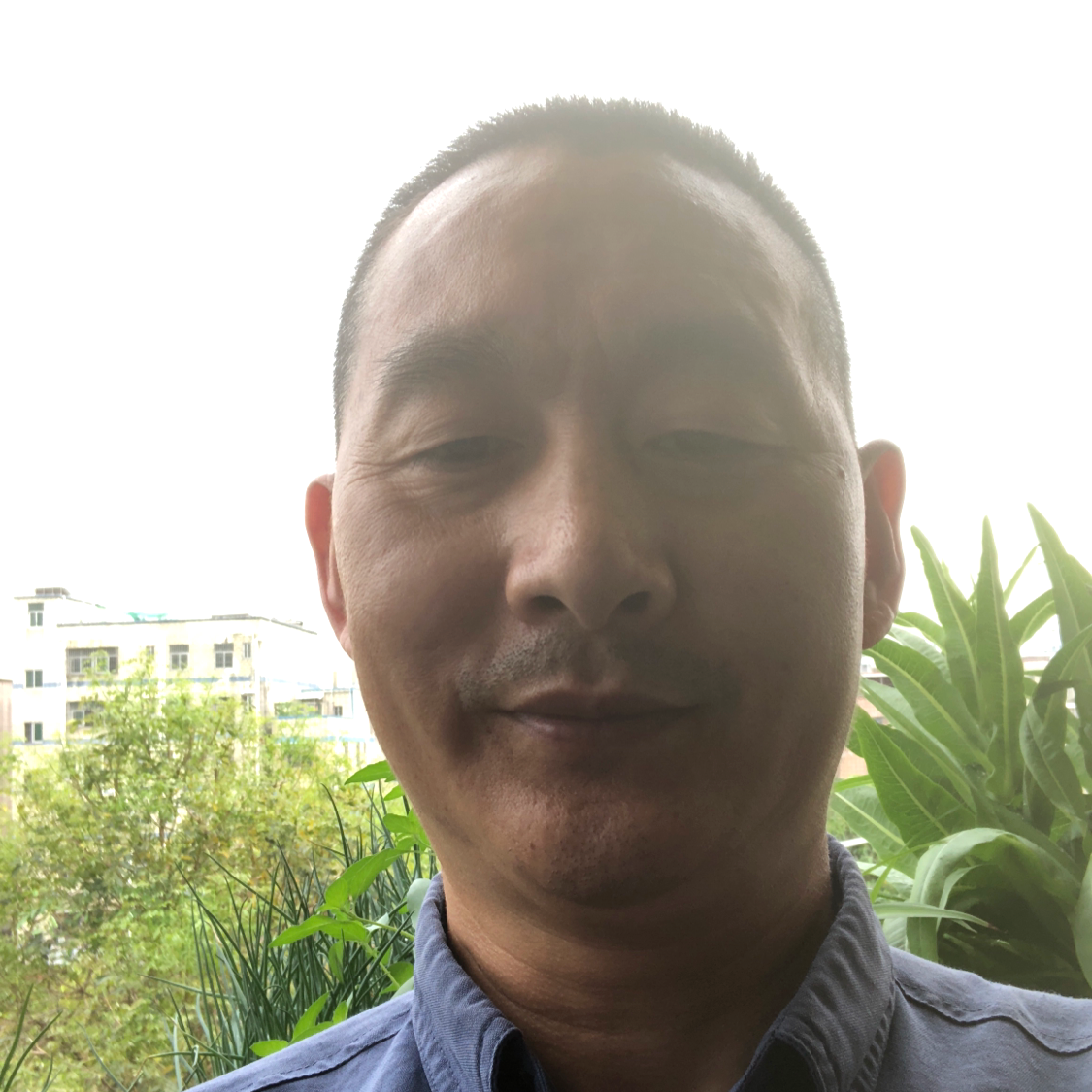 博士情的照片