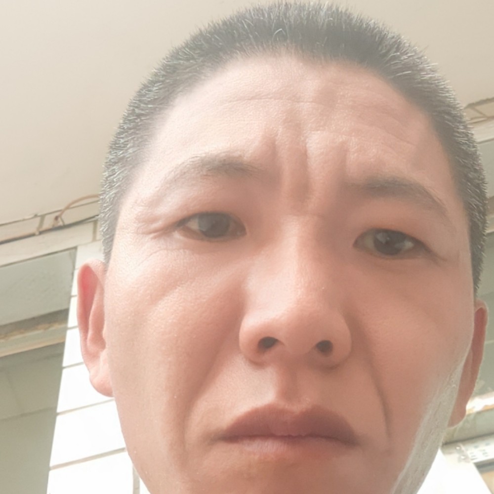 愉快回首金毛的照片