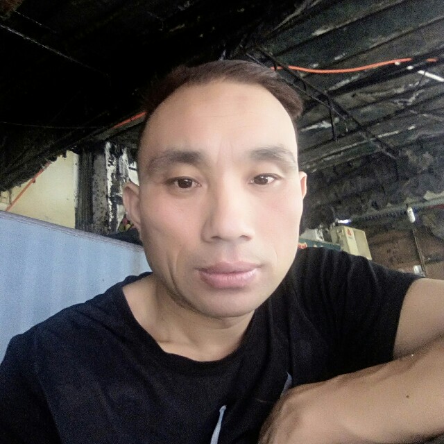 小蚂蚁改变踏实的照片
