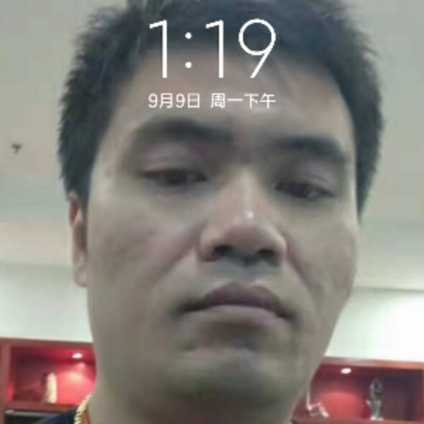 饱满苦恋鸵鸟的照片