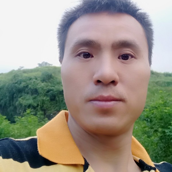 一晚情爱的照片