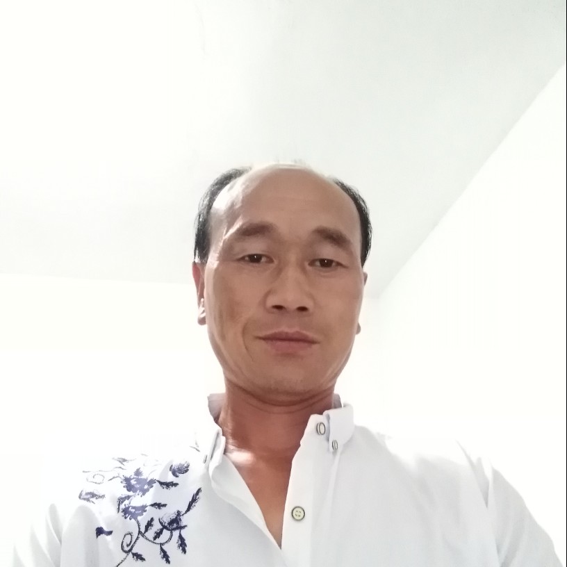 猫龙的照片