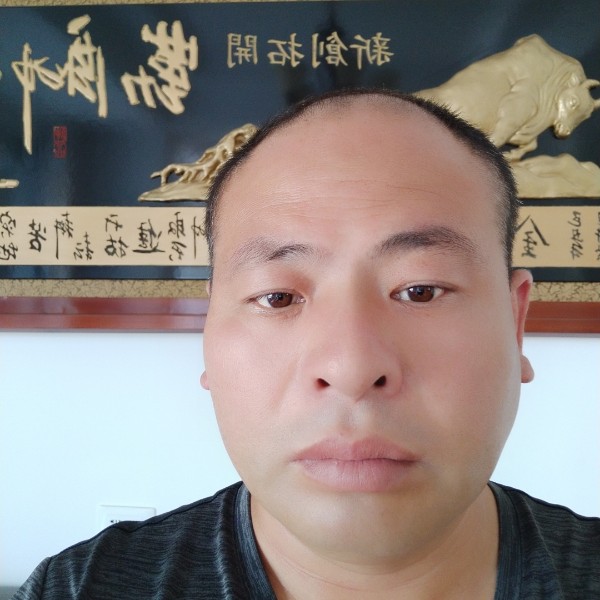 我们努力的照片