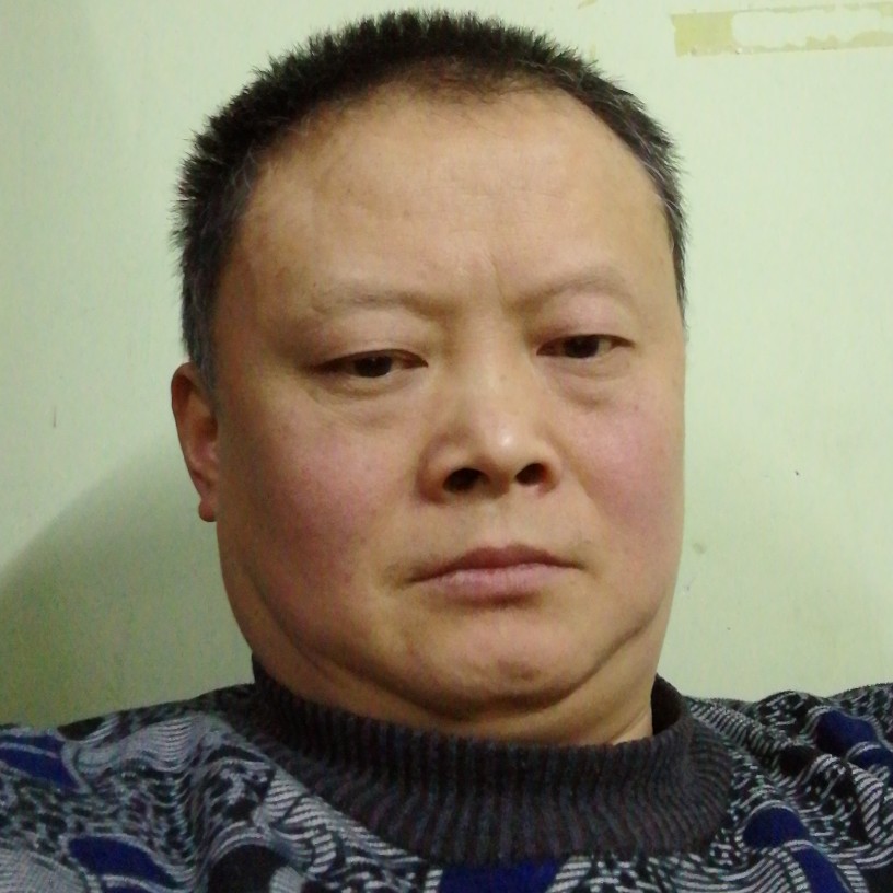 大象沉静的照片