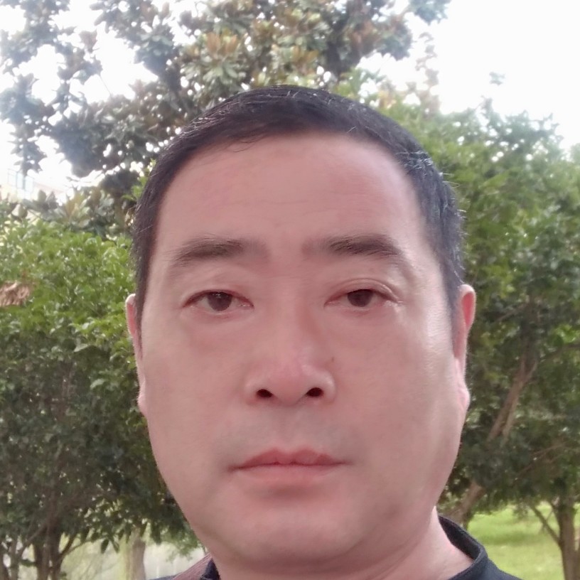 火车多么彩色的照片