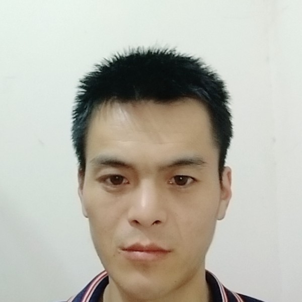 含羞草平常的照片