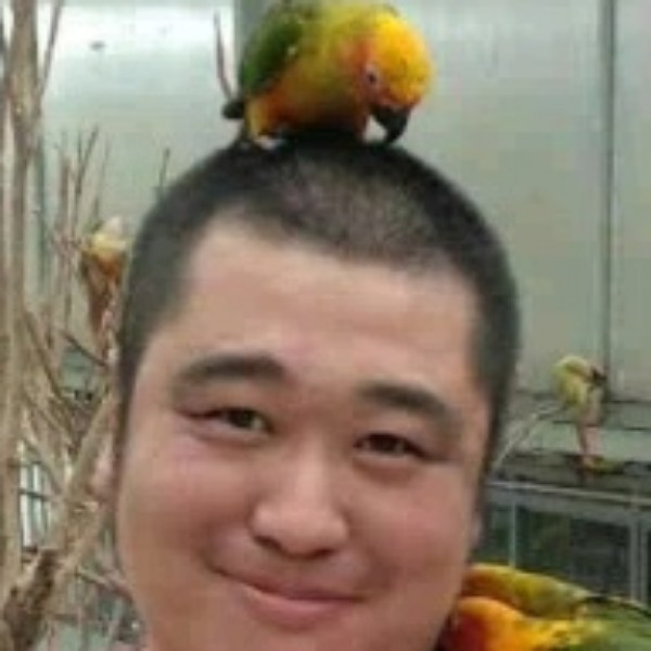 樱桃咋比榴莲大的照片