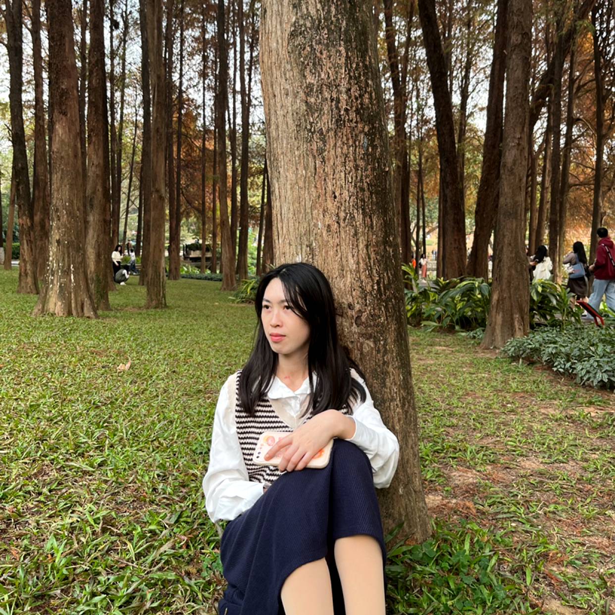 神秘de风铃的照片