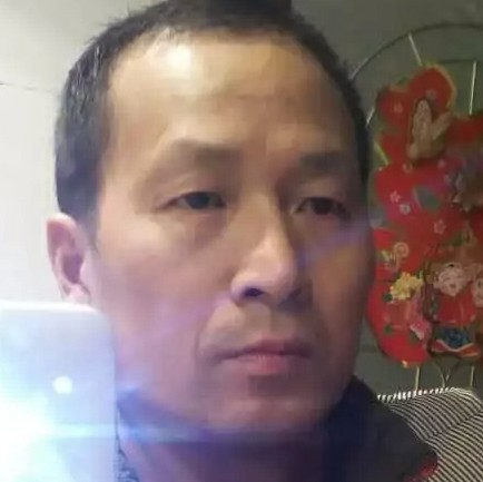 斑马洁净的照片